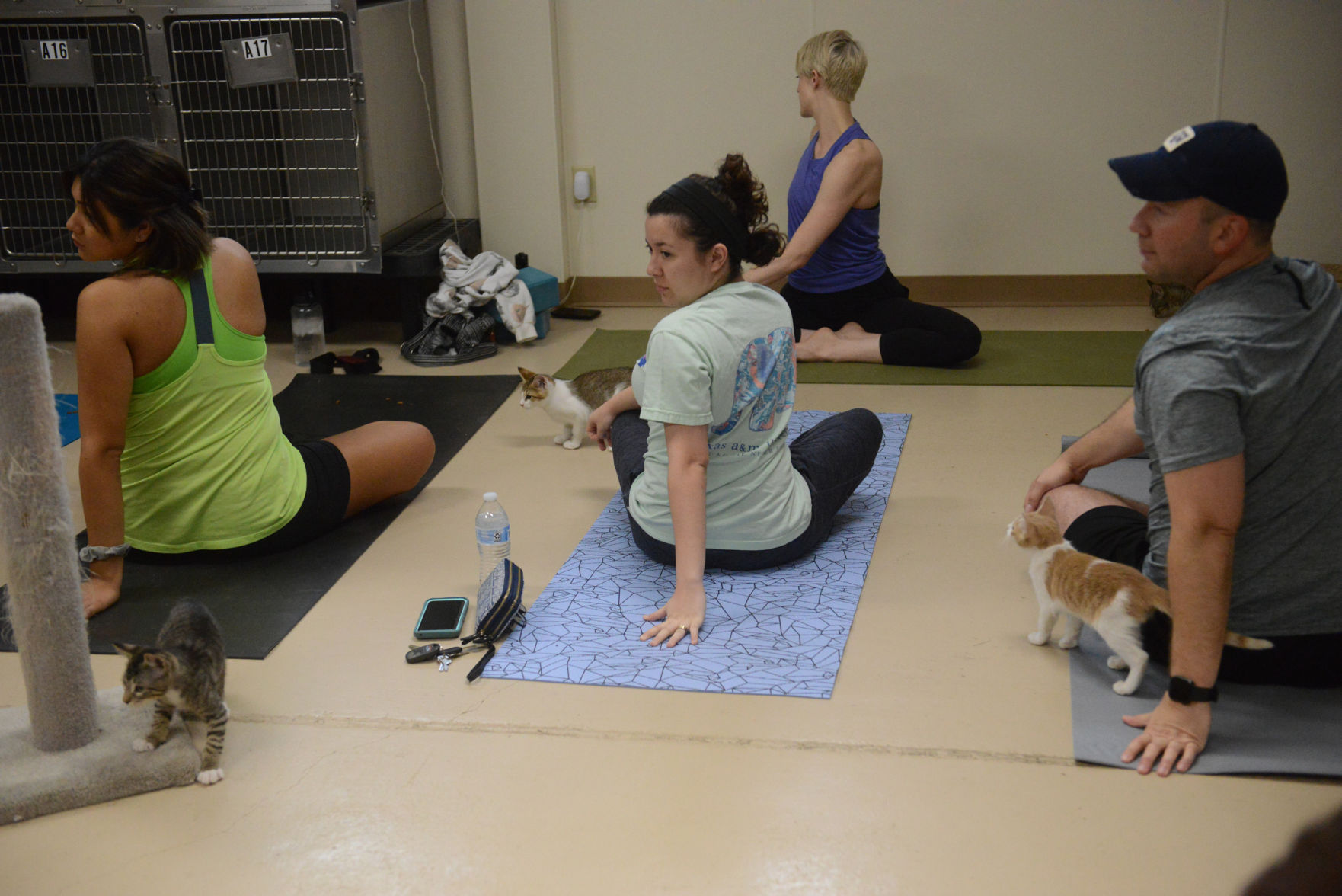 Cat Yoga at Aggieland Humane Society